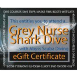 Grey Nurse Shark Dive - Gift Certificate